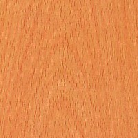 Hoja de chapa de Haya vaporizada - Hoja de chapa de madera de Haya vaporizada de 0,6 mm. de espesor ( Precio por metro cuadrado )